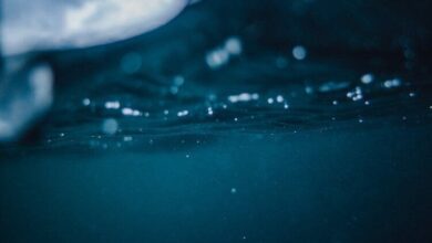 Ocean Meditation For Deep Calm