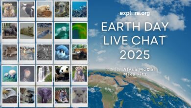 Explore.org’s Earth Day Spectacular | Explore Explore.org’s Earth Day Spectacular | Explore