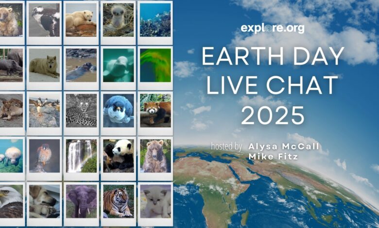 Explore.org’s Earth Day Spectacular | Explore Explore.org’s Earth Day Spectacular | Explore