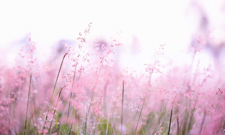 Finding Peace… – COME MEDITATE IN CONNECTICUT Finding Peace… – COME MEDITATE IN CONNECTICUT