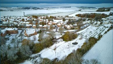 HAPPY CHRISTMAS – Jessica’s Nature Blog HAPPY CHRISTMAS – Jessica’s Nature Blog