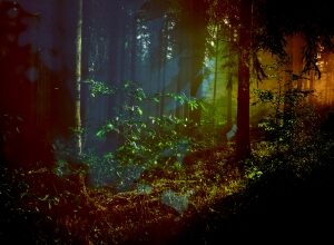 Harbors (Hollie Kenniff & Goldmund) ~ When We Are Free Harbors (Hollie Kenniff & Goldmund) ~ When We Are Free