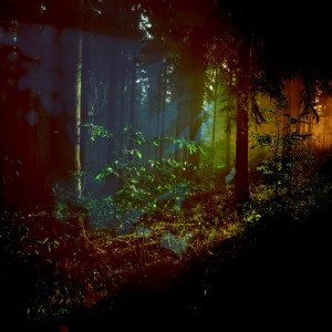 Harbors (Hollie Kenniff & Goldmund) ~ When We Are Free Harbors (Hollie Kenniff & Goldmund) ~ When We Are Free
