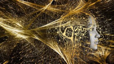 How Meditation Builds Your Metacognitive Intelligence How Meditation Builds Your Metacognitive Intelligence