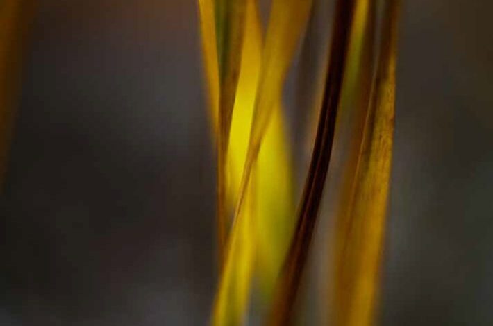 Intuition is a resource – The Meditation Blog Intuition is a resource – The Meditation Blog