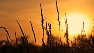 Monday: a new day Monday: a new day
