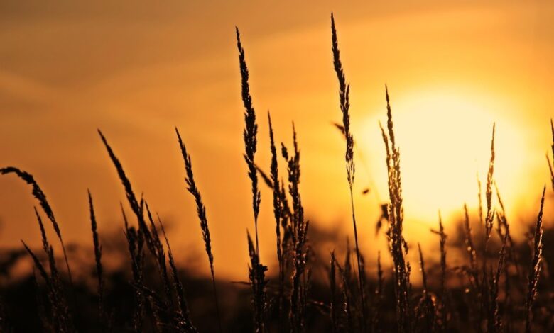 Monday: a new day Monday: a new day