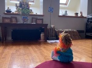 OM106-Noel Coakley on Addiction, Spiritual Bypassing, & The Grace of Mindfulness Meditation OM106-Noel Coakley on Addiction, Spiritual Bypassing, & The Grace of Mindfulness Meditation