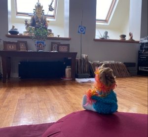 OM106-Noel Coakley on Addiction, Spiritual Bypassing, & The Grace of Mindfulness Meditation OM106-Noel Coakley on Addiction, Spiritual Bypassing, & The Grace of Mindfulness Meditation