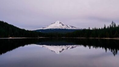 A Breath Meditation Script for Centering