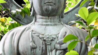 Q. If all actions and movements are the functions of the true-Self, why can’t we see the true-Self in our physical bodies which are impermanent? Q. If all actions and movements are the functions of the true-Self, why can’t we see the true-Self in our physical bodies which are impermanent?