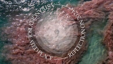 Reflection on 2024 — A STRANGELY ISOLATED PLACE Reflection on 2024 — A STRANGELY ISOLATED PLACE