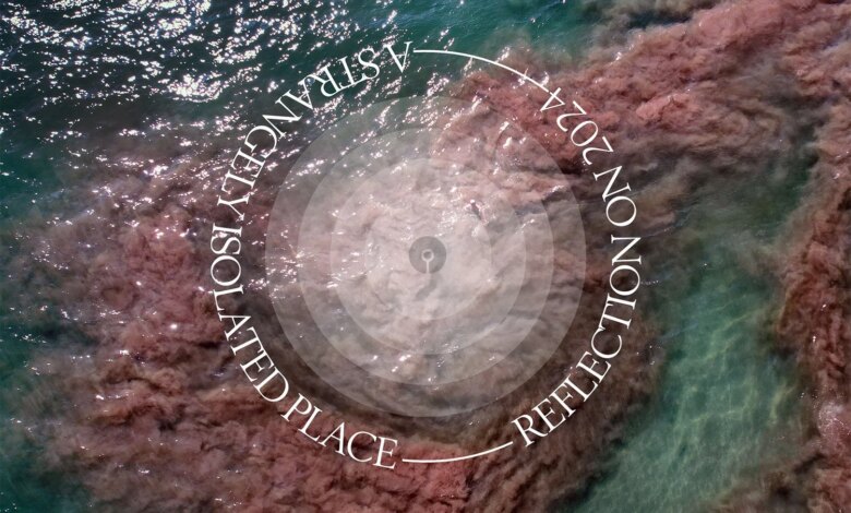 Reflection on 2024 — A STRANGELY ISOLATED PLACE Reflection on 2024 — A STRANGELY ISOLATED PLACE