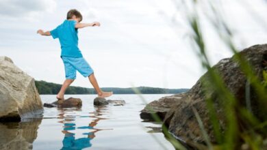 Ripples in Childhood, Waves in Adulthood: Early Childhood Stress and Your Health Ripples in Childhood, Waves in Adulthood: Early Childhood Stress and Your Health