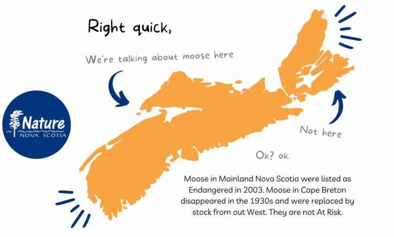 Saving the Mainland Moose of Nova Scotia Saving the Mainland Moose of Nova Scotia