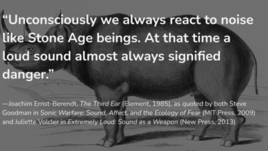 Stone Age Wisdom