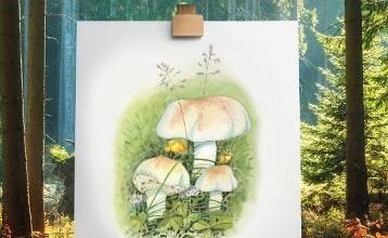 Sunday book review – A Brush with Fungi by David Mitchell – Mark Avery Sunday book review – A Brush with Fungi by David Mitchell – Mark Avery