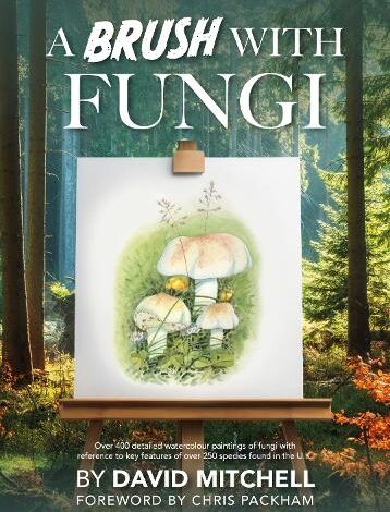 Sunday book review – A Brush with Fungi by David Mitchell – Mark Avery