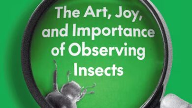 Sunday book review – Bugwatching by Eric R. Eaton – Mark Avery Sunday book review – Bugwatching by Eric R. Eaton – Mark Avery