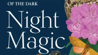 Sunday book review – Night Magic by Leigh Ann Henion – Mark Avery