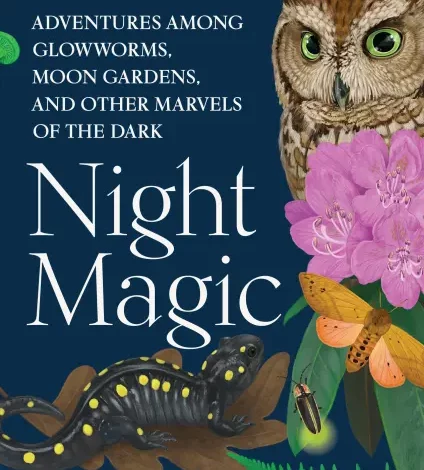 Sunday book review – Night Magic by Leigh Ann Henion – Mark Avery Sunday book review – Night Magic by Leigh Ann Henion – Mark Avery