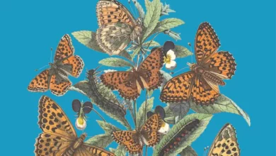 Sunday book review – The Game of Species by Julian Simon Lopez-villalta – Mark Avery