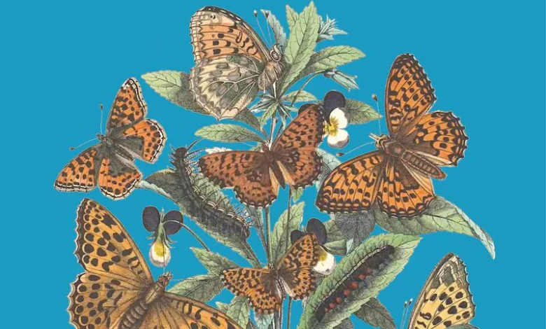 Sunday book review – The Game of Species by Julian Simon Lopez-villalta – Mark Avery Sunday book review – The Game of Species by Julian Simon Lopez-villalta – Mark Avery