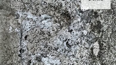 Teer (EP), by rand | Ambient Landscape Teer (EP), by rand | Ambient Landscape