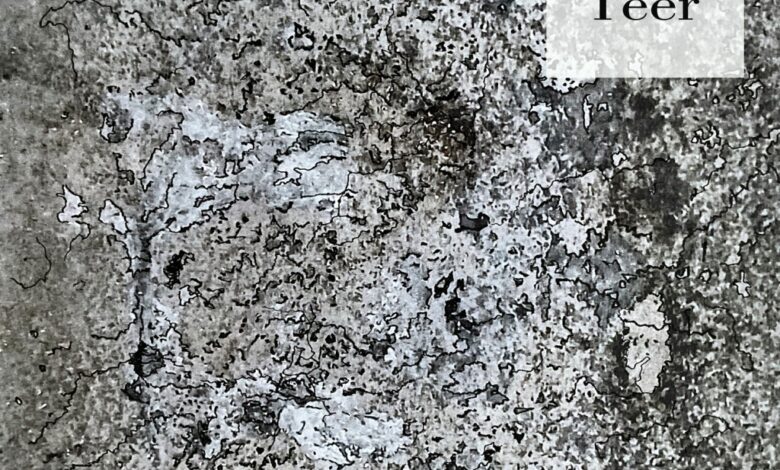 Teer (EP), by rand | Ambient Landscape Teer (EP), by rand | Ambient Landscape