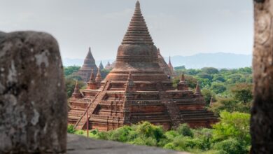 The Buddha said, “Diligence is a way to life, and laziness is a way to death. The diligent never die, but the lazy die.” What do these words mean?  The Buddha said, “Diligence is a way to life, and laziness is a way to death. The diligent never die, but the lazy die.” What do these words mean?