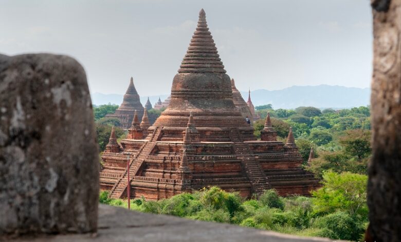 The Buddha said, “Diligence is a way to life, and laziness is a way to death. The diligent never die, but the lazy die.” What do these words mean? 