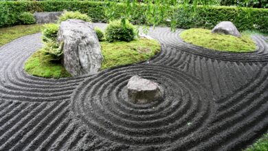 The Diamond Sutra (103) – Zen Fools