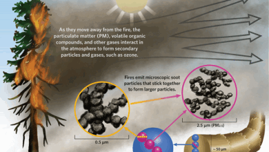 The Hidden Dangers of Wildfire Smoke – How does wildfire smoke affect us all? The Hidden Dangers of Wildfire Smoke – How does wildfire smoke affect us all?