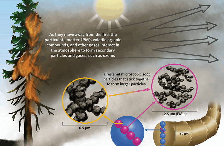 The Hidden Dangers of Wildfire Smoke – How does wildfire smoke affect us all? The Hidden Dangers of Wildfire Smoke – How does wildfire smoke affect us all?