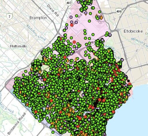 The Inconvenient Urban Coyote – Ontario Nature The Inconvenient Urban Coyote – Ontario Nature