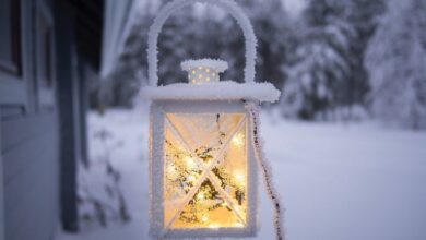 The Longest Night of the Year The Longest Night of the Year