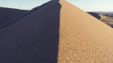 The Paradox Of Meditation & Holding Everything Gently