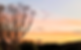 The Reason for Dusk | Marlane Ainsworth The Reason for Dusk | Marlane Ainsworth