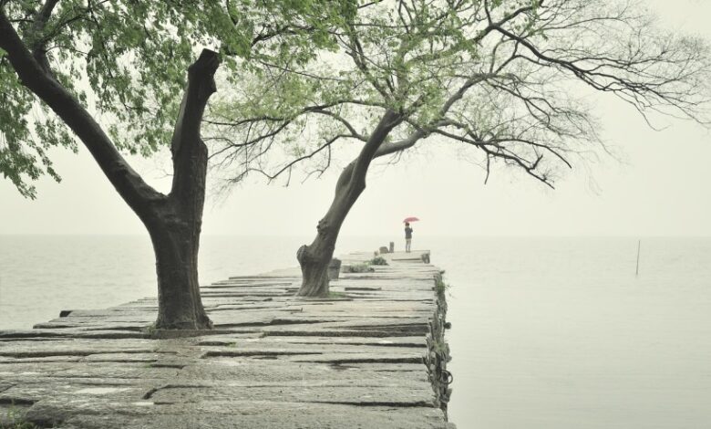 The choice is yours The choice is yours
