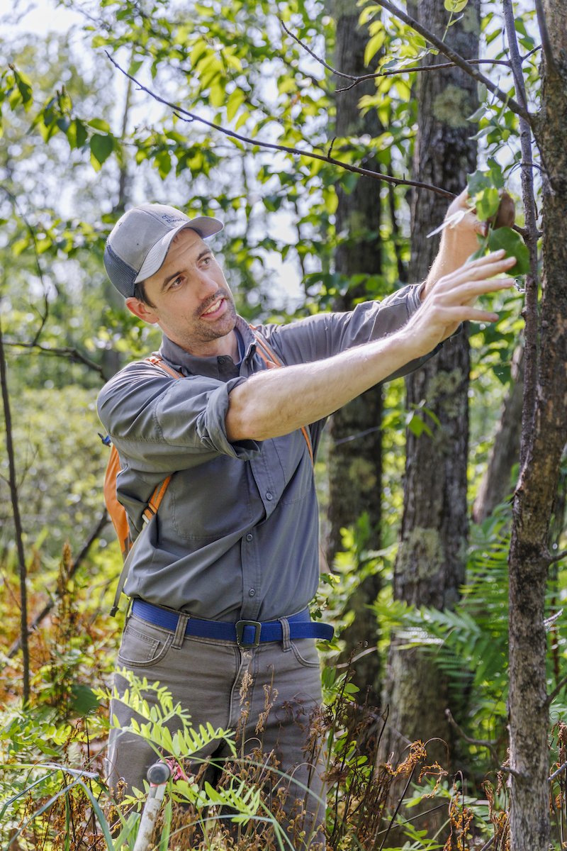 A man in a baseball cap and a blue shirt with his hands on a small tree branch