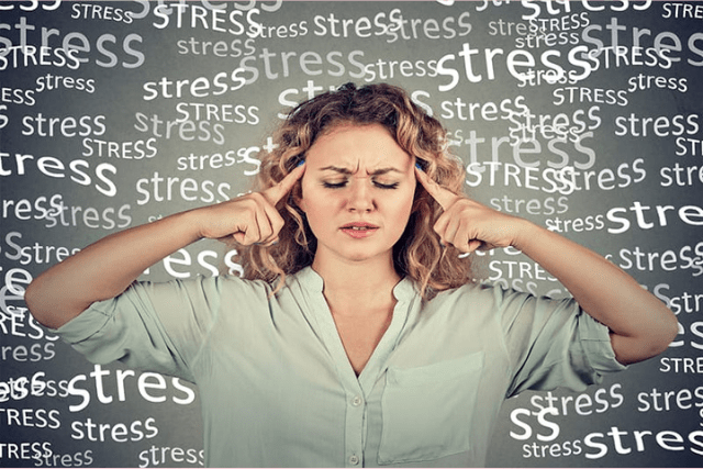 Understand Holiday Stress – 9 Effective Tips to Reduce Stress During Holiday Season Understand Holiday Stress – 9 Effective Tips to Reduce Stress During Holiday Season