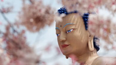 What Is Buddhism? – Mindworks Meditation & Buddhist Path