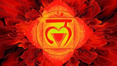 What are the Chakras | YOGI TIMES