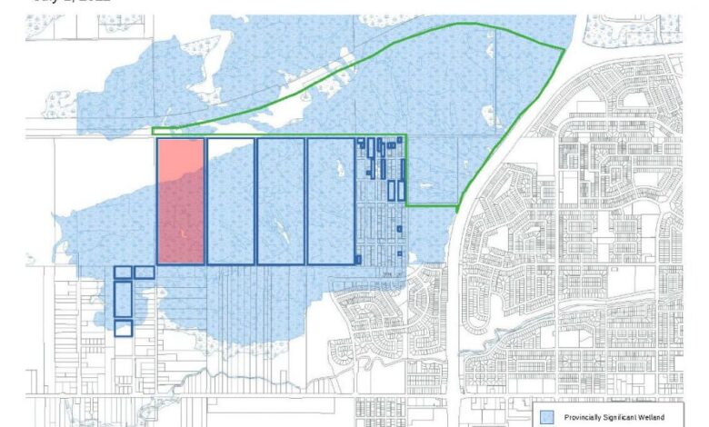 William Bog: Conserving a Significant Wetland Within the City of Thunder Bay William Bog: Conserving a Significant Wetland Within the City of Thunder Bay