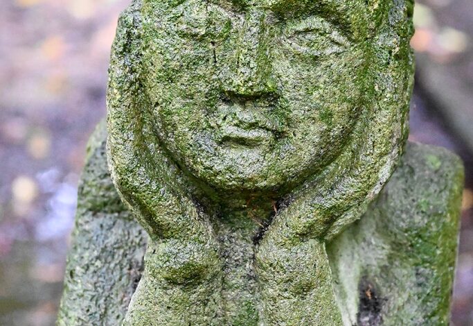 Within and Without – Zen Fools Within and Without – Zen Fools