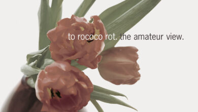 out for a while: To Rococo Rot – The Amateur View [City Slang | Mute]