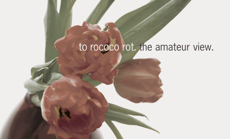 out for a while: To Rococo Rot – The Amateur View [City Slang | Mute]