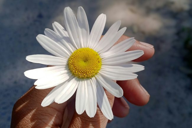Gratitude in a time of calamity Gratitude in a time of calamity
