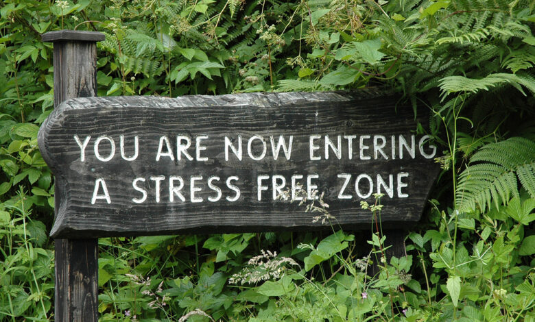 4 Mindfulness Tips To Reclaim Your Center & Ground Your Being 4 Mindfulness Tips To Reclaim Your Center & Ground Your Being
