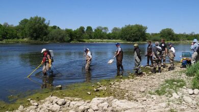 Below the Surface: The Hidden World of Benthic Macroinvertebrates Below the Surface: The Hidden World of Benthic Macroinvertebrates